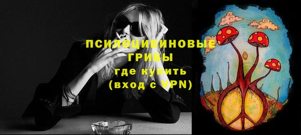 амф Гусь-Хрустальный