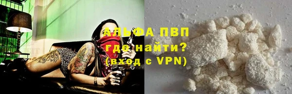 амф Гусь-Хрустальный