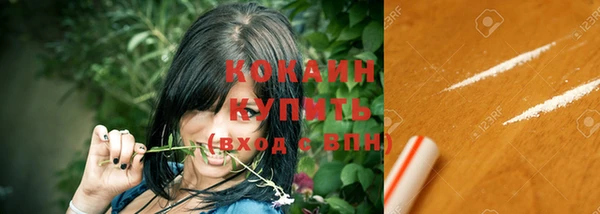 амф Гусь-Хрустальный