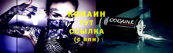 соль ск Гусев
