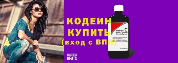 амф Гусь-Хрустальный