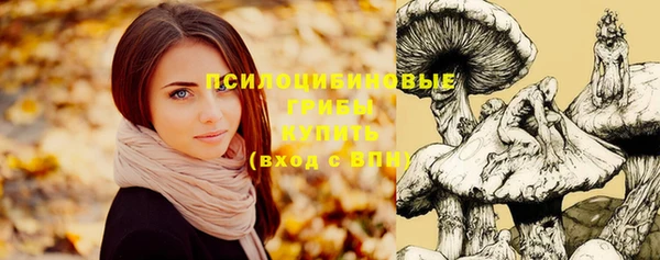соль ск Гусев