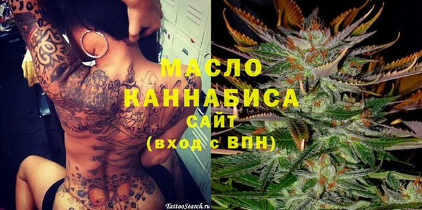 амф Гусь-Хрустальный
