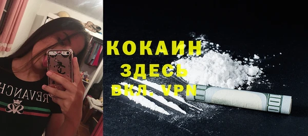 амф Гусь-Хрустальный