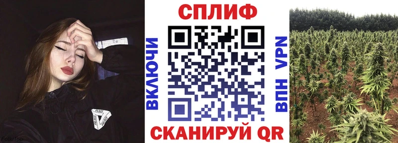 где купить наркотик Грязовец Канабис марихуана